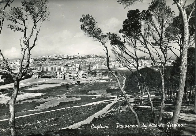 CARTOLINA SARDEGNA CAGLIARI PANORAMA Viaggiata Anno 1953 EUR 5,00